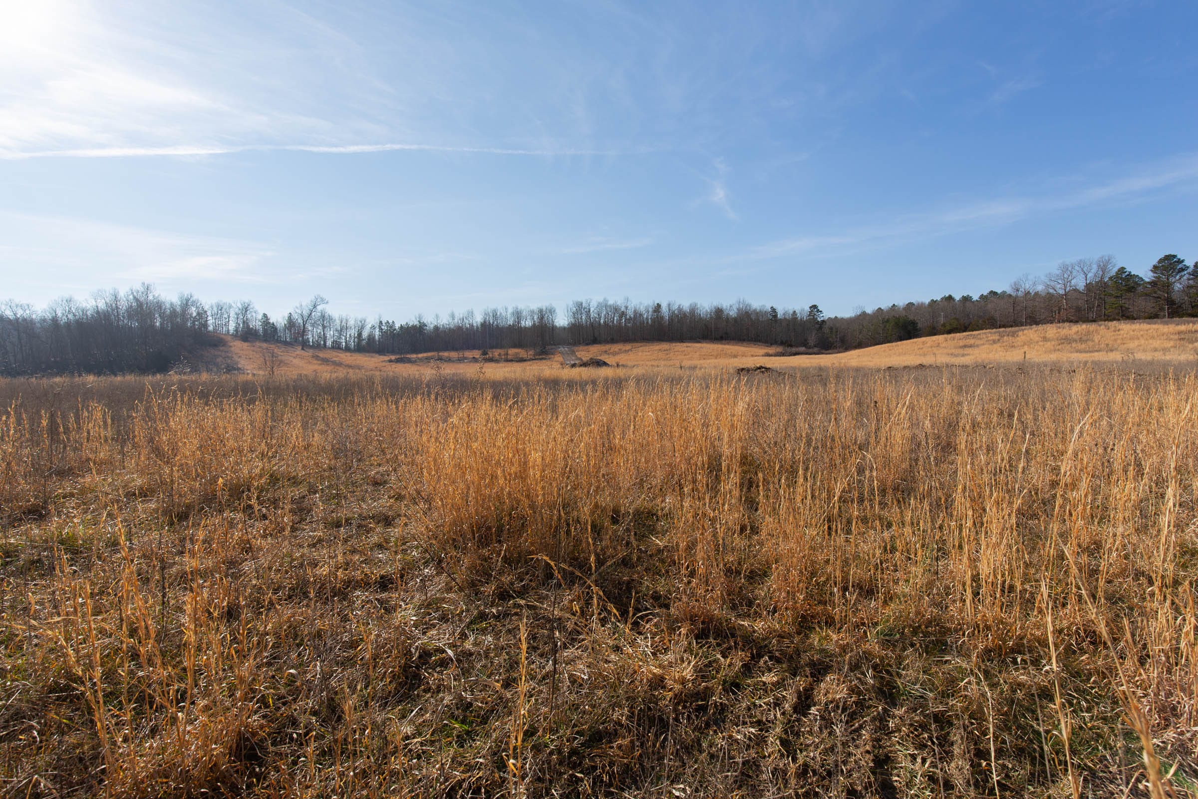 O’Connor Crossing Tract 31 photo 19