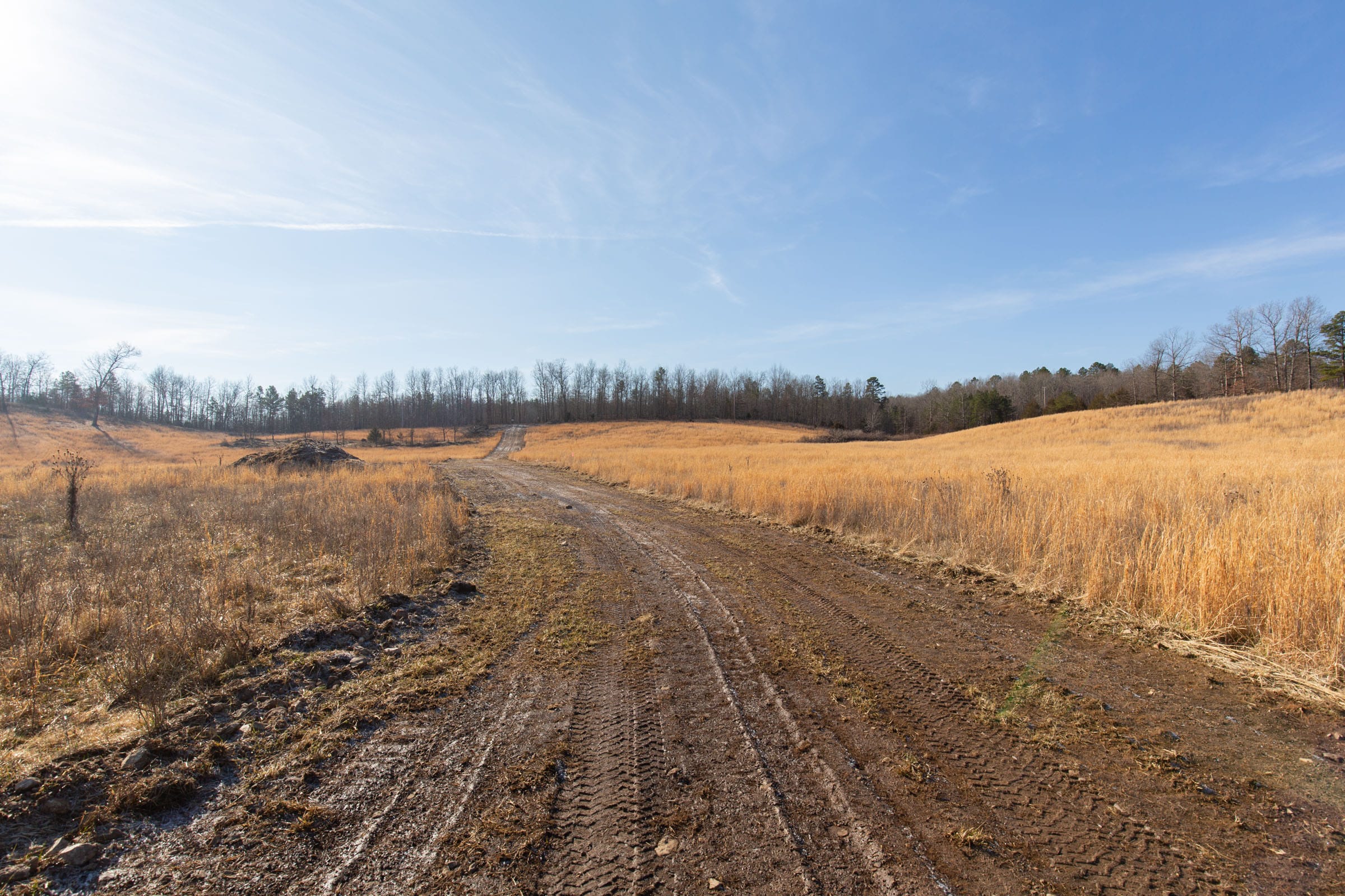 O’Connor Crossing Tract 31 photo 8