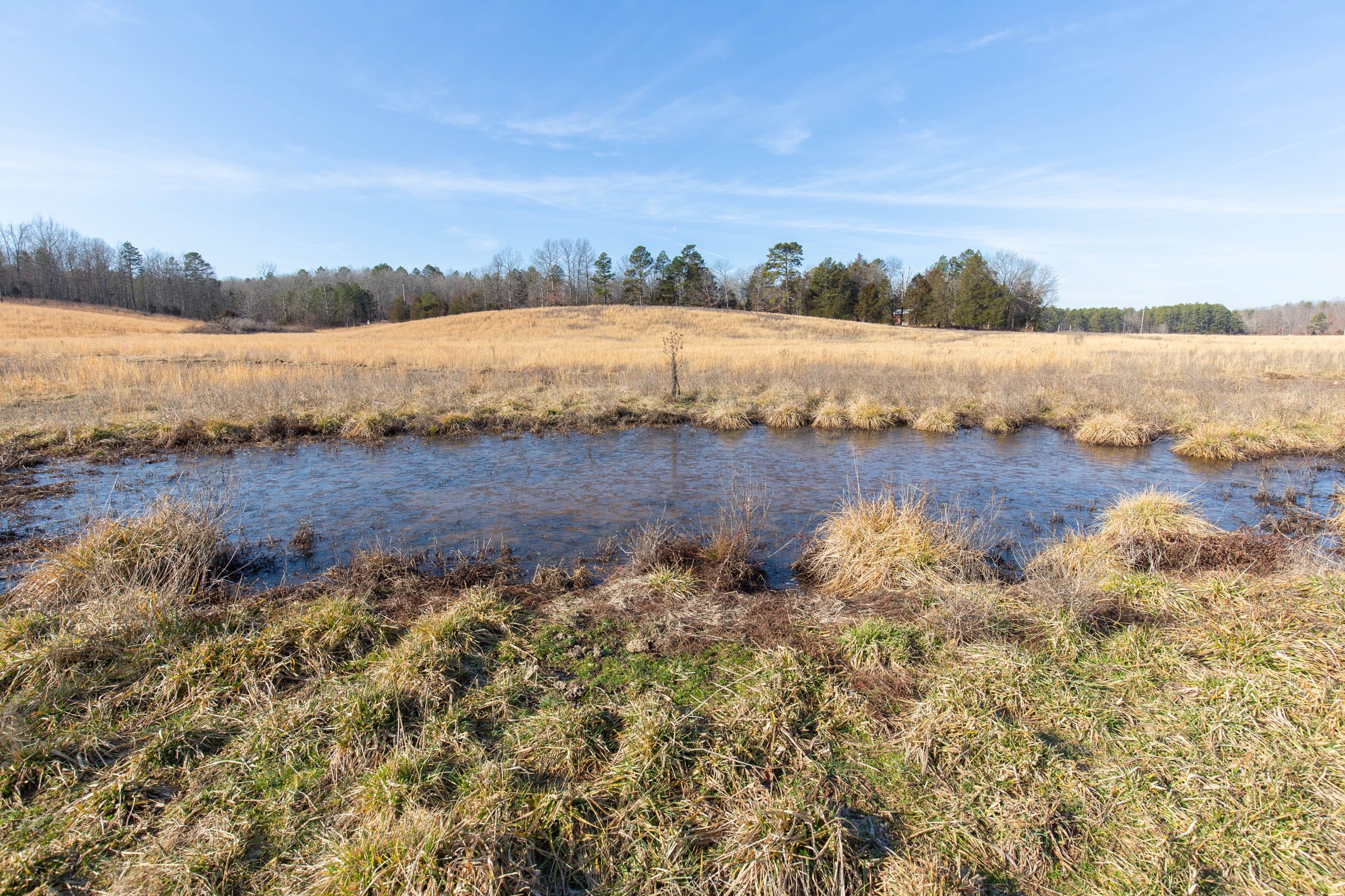 O’Connor Crossing Tract 31 photo 3