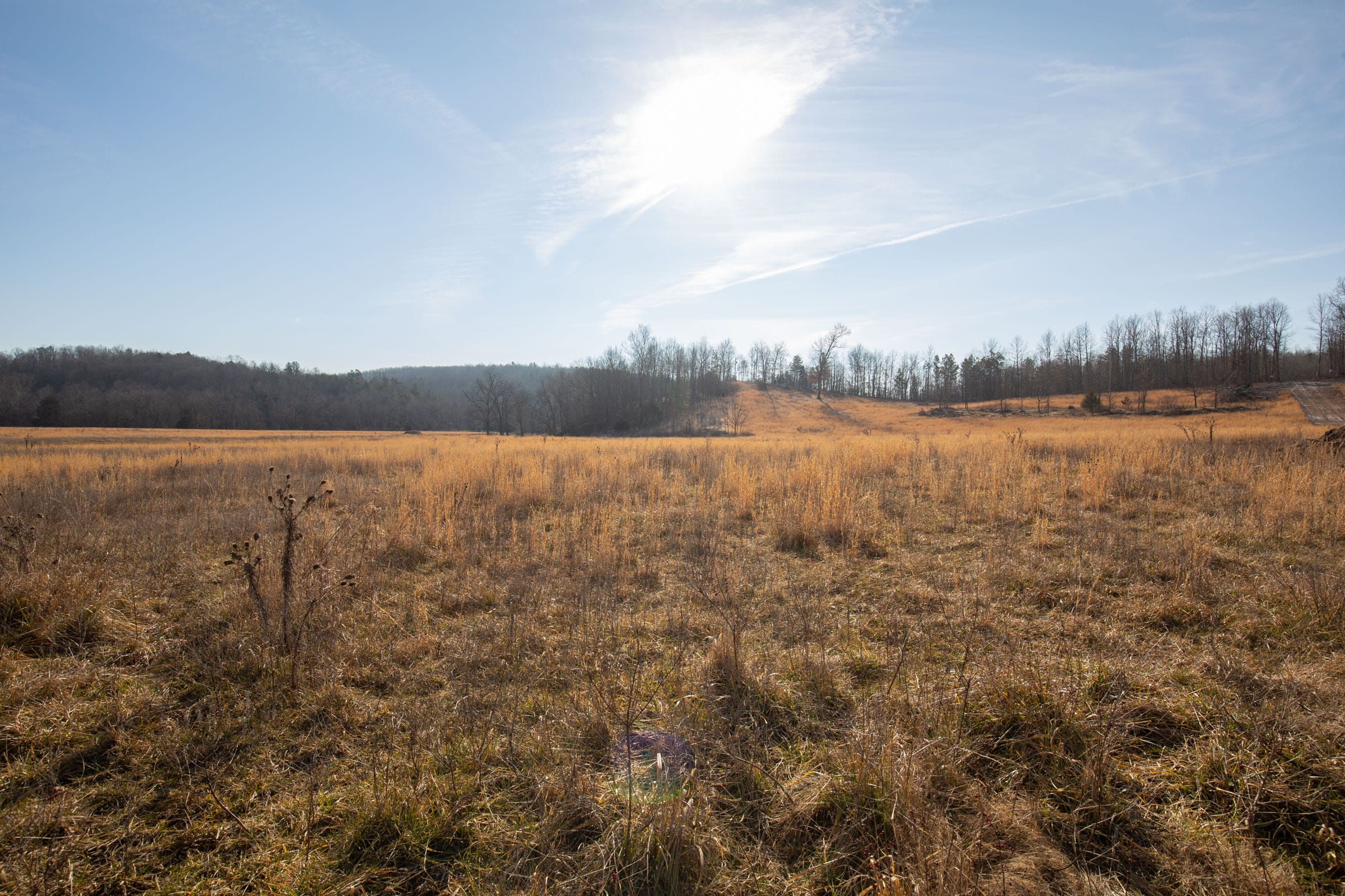 O’Connor Crossing Tract 31 photo 21