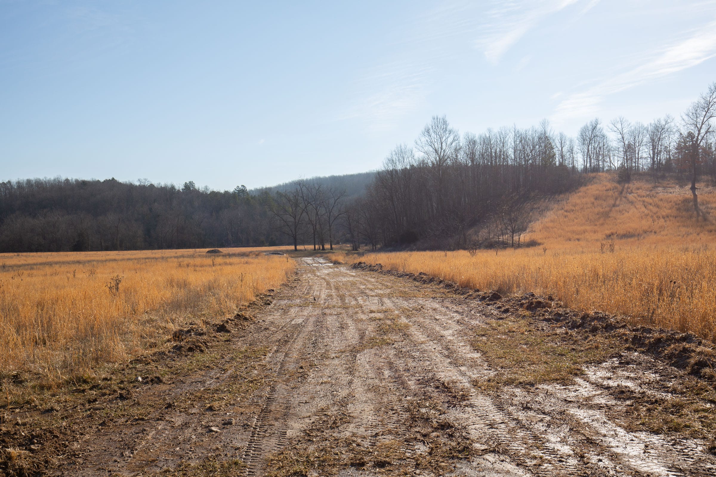 O’Connor Crossing Tract 31 photo 16