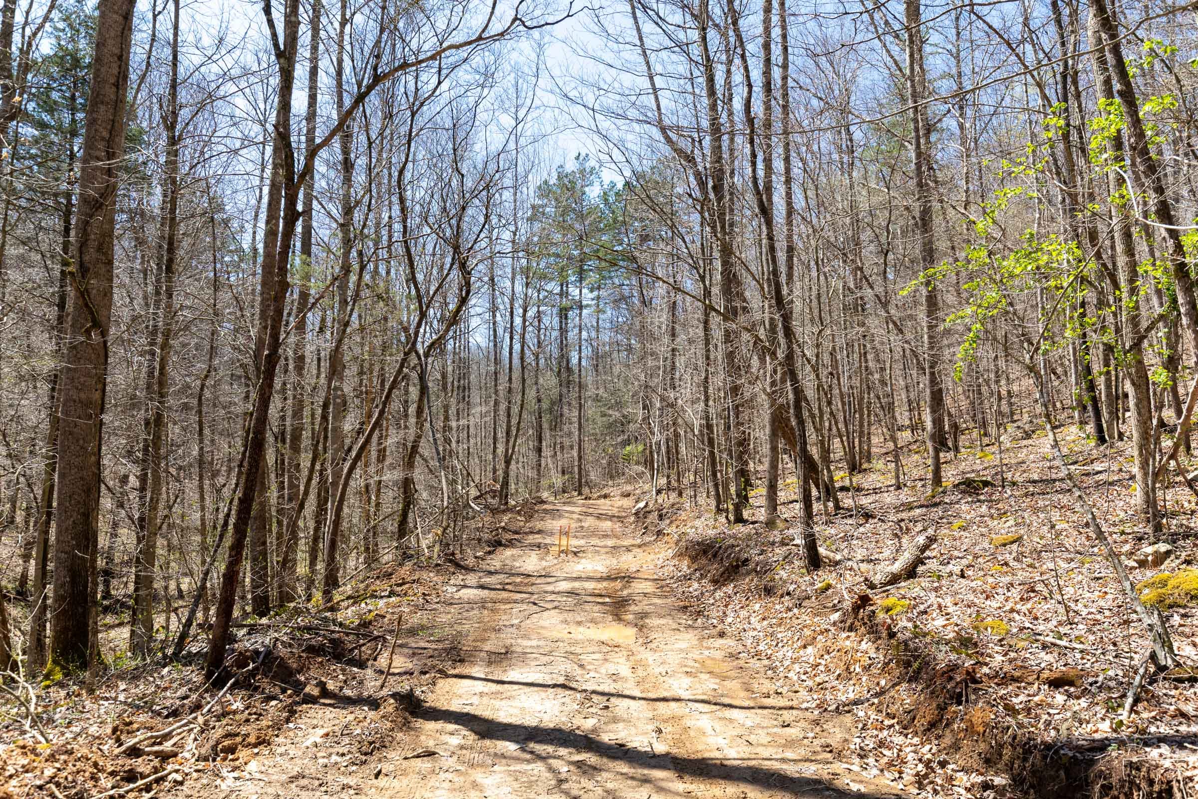 Woodland Heights Tract 4 photo 1