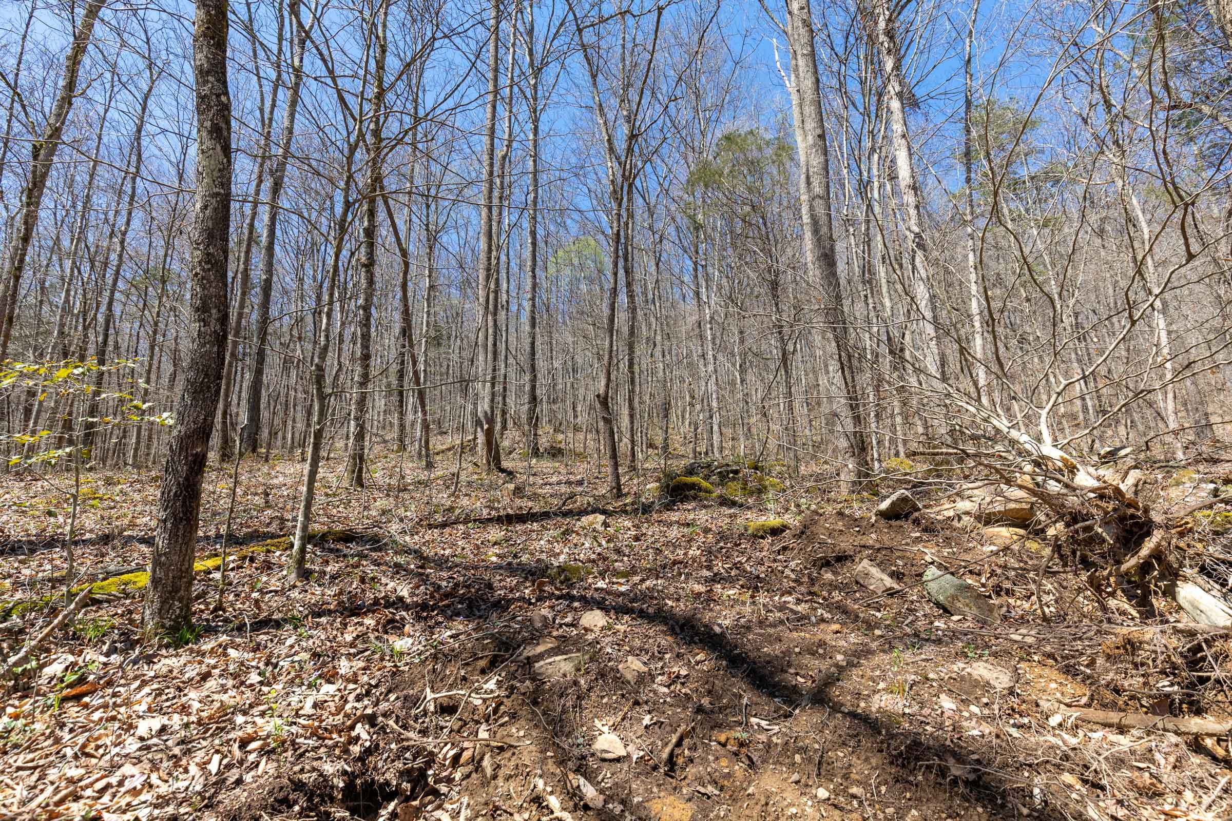 Woodland Heights Tract 4 photo 7