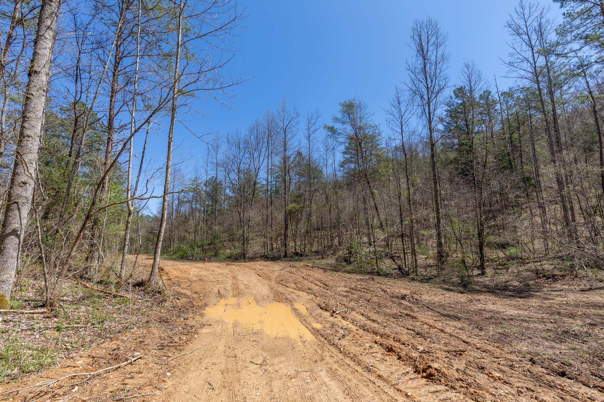 Woodland Heights Tract 4 photo 9