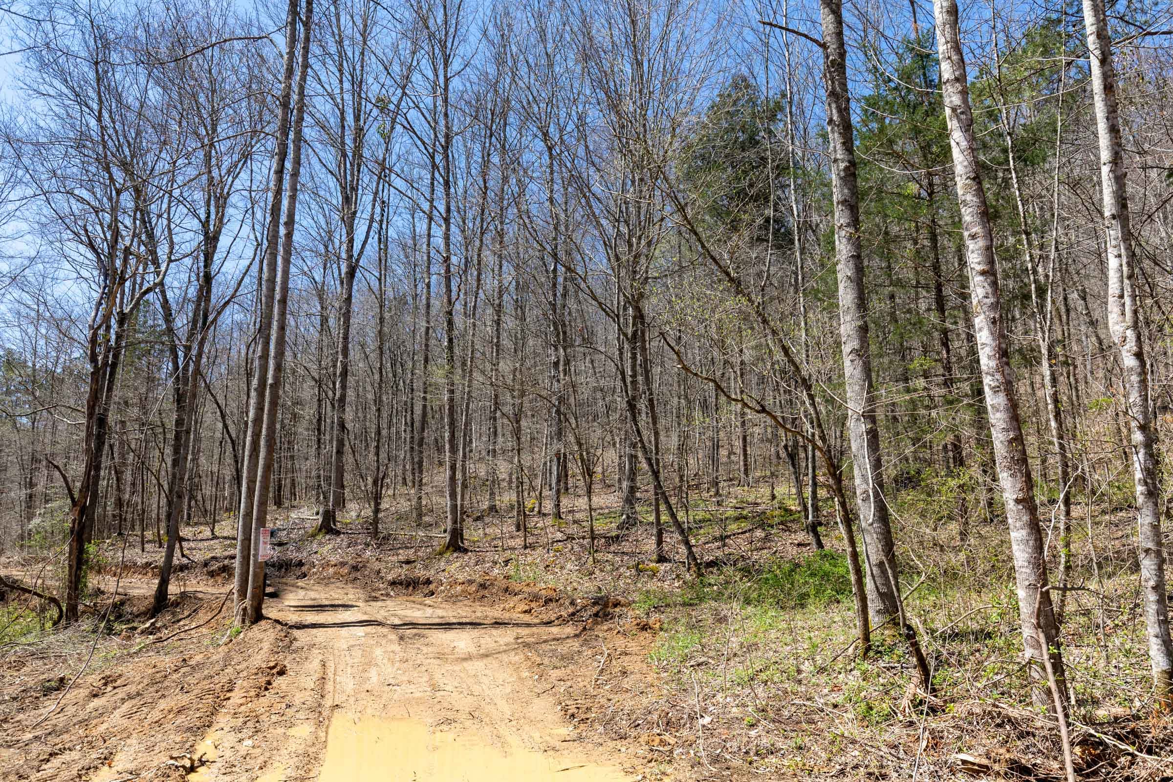 Woodland Heights Tract 4 photo 12