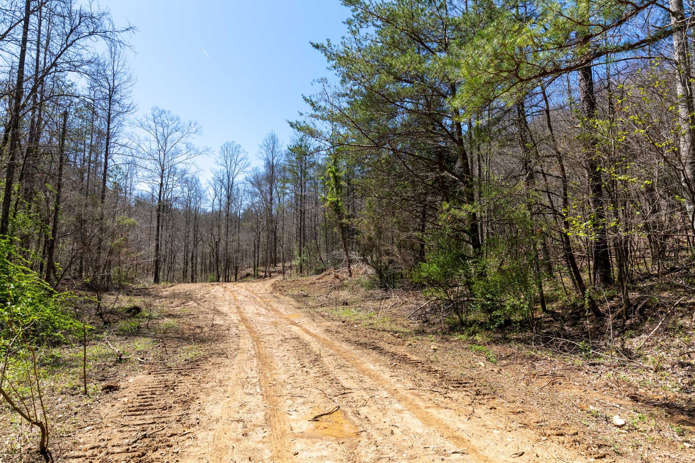 Woodland Heights Tract 4 photo 5
