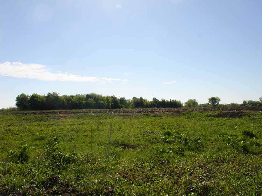 Red River Ranch Tract 2 photo 4