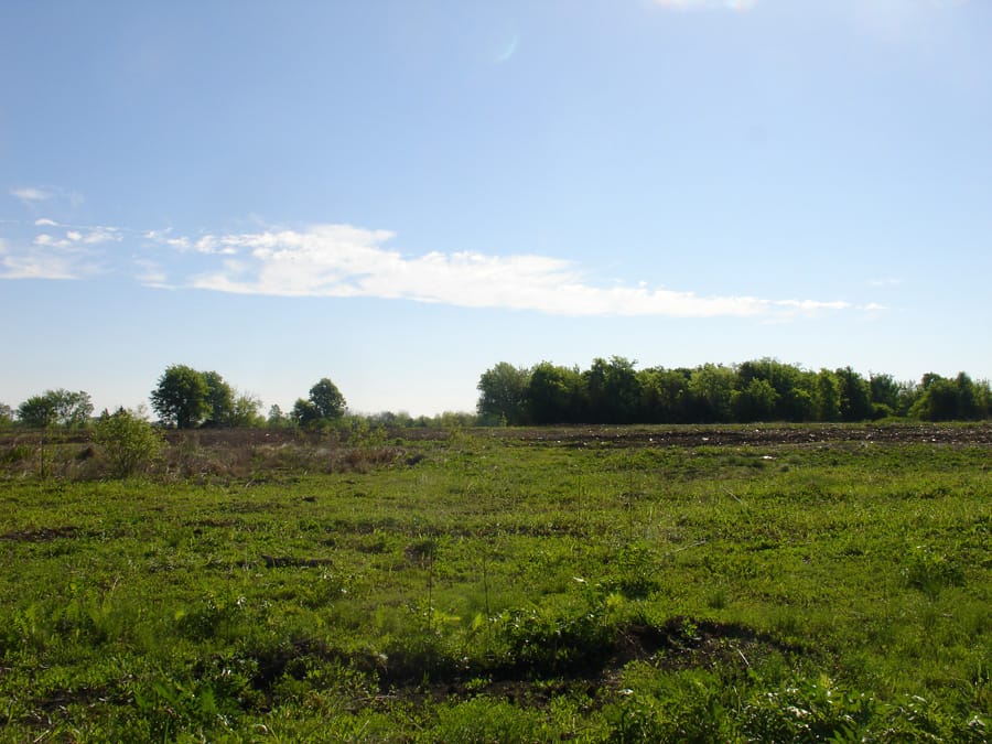 Red River Ranch Tract 2 photo 5