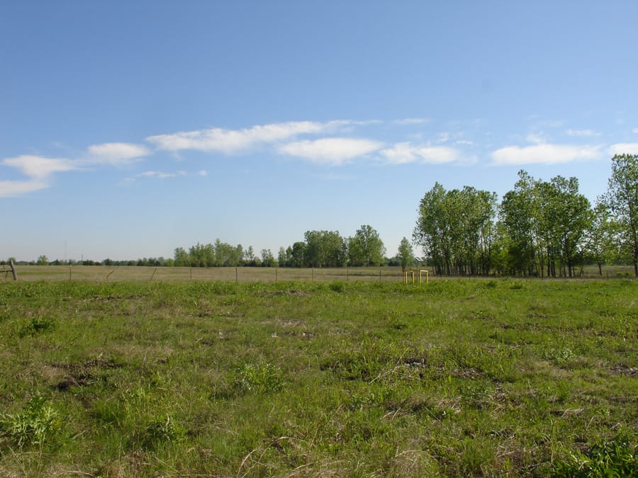 Red River Ranch Tract 2 photo 7