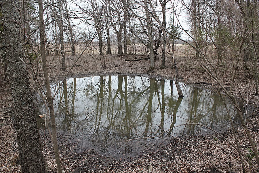 Red River Ranch Tract 2 photo 2