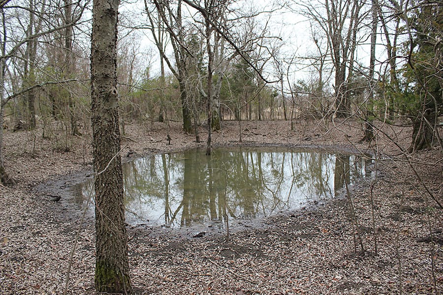 Red River Ranch Tract 2 photo 3