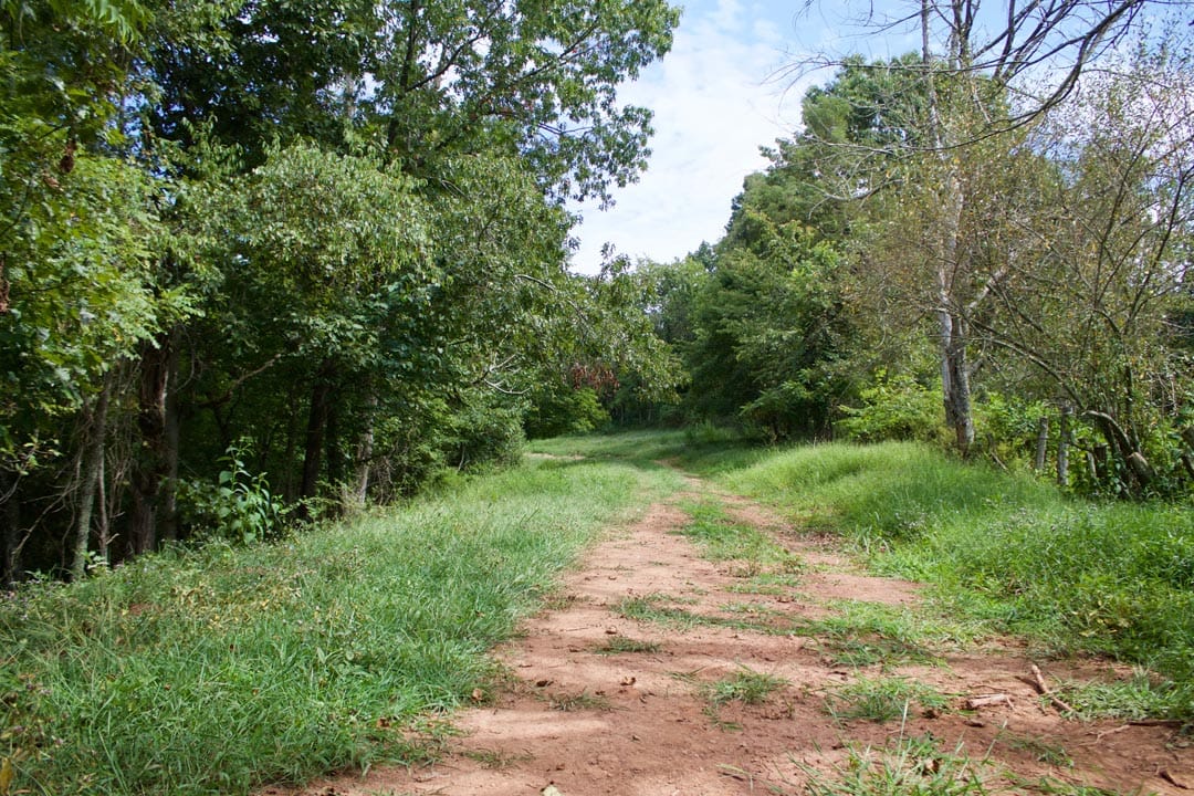 Heritage Hollow Tract 19 photo 1