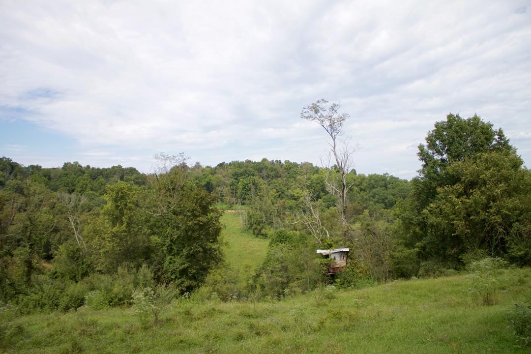 Heritage Hollow Tract 19 photo 2