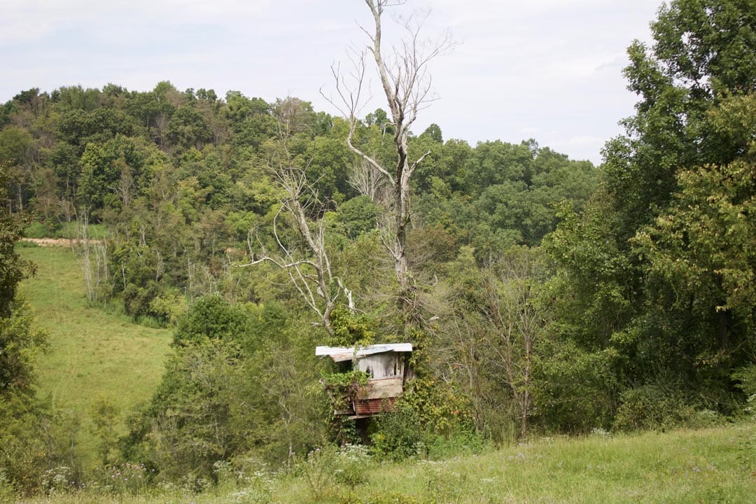 Heritage Hollow Tract 19 photo 3