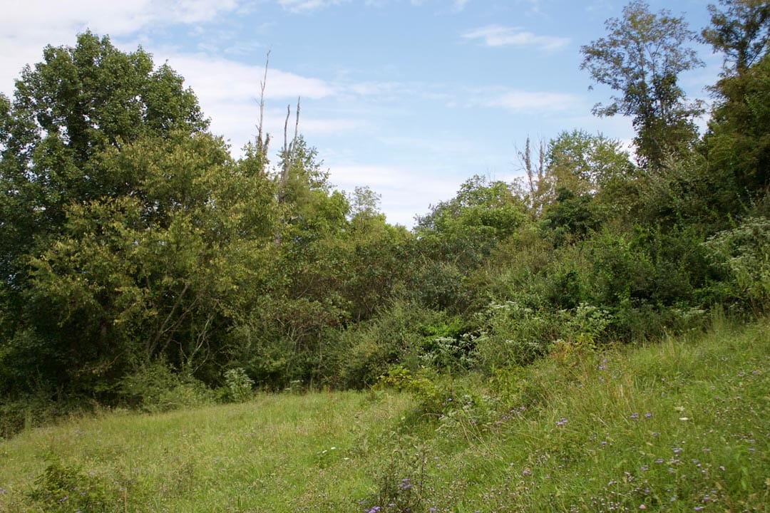 Heritage Hollow Tract 19 photo 5