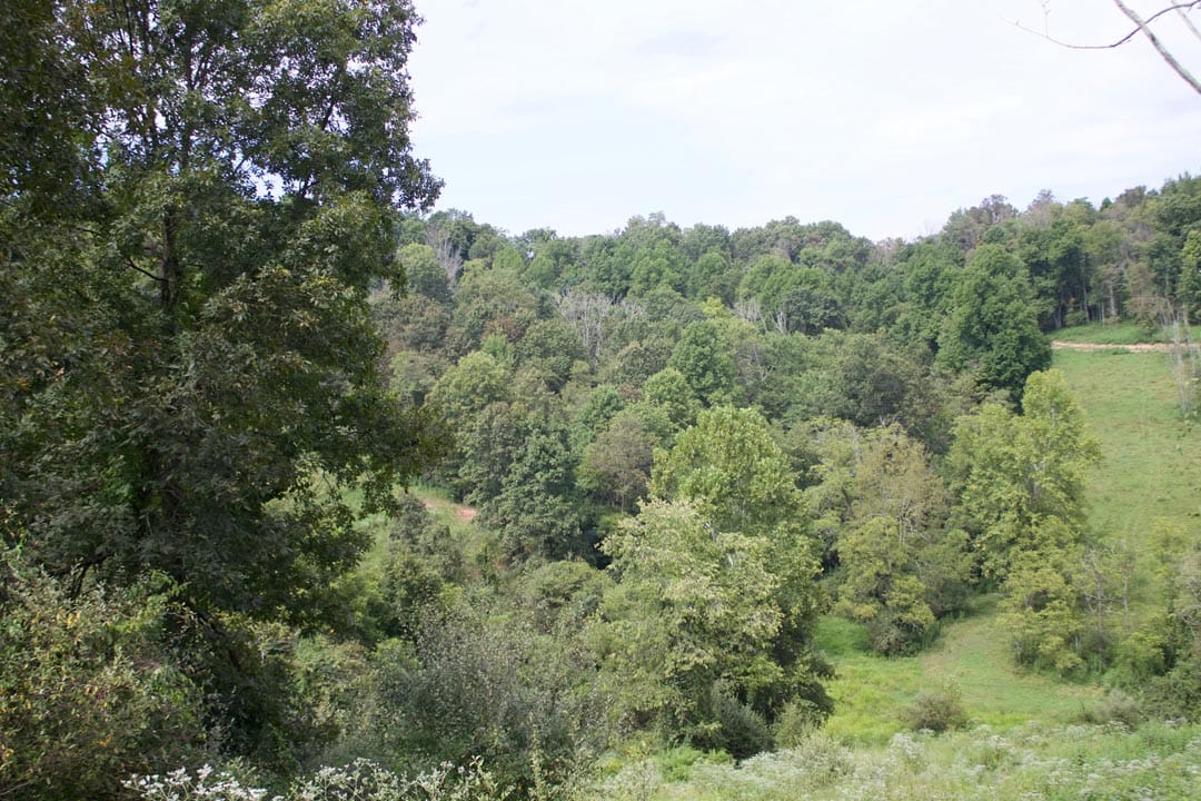 Heritage Hollow Tract 19 photo 6