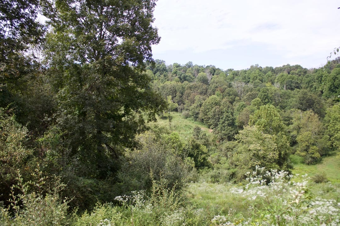 Heritage Hollow Tract 19 photo 7