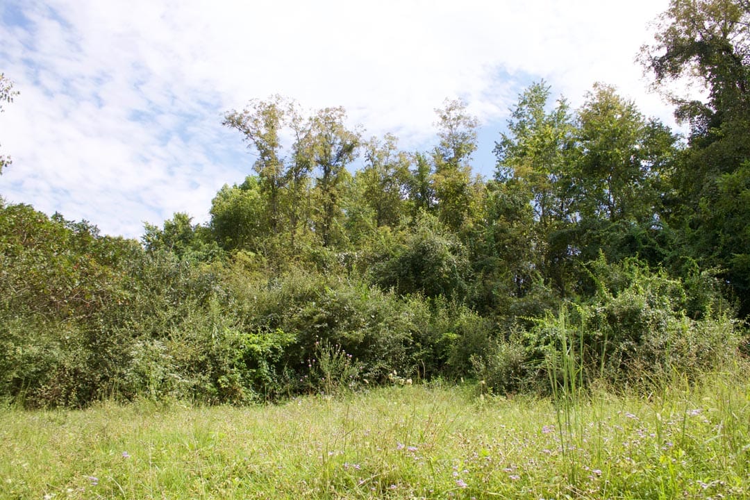 Heritage Hollow Tract 19 photo 10