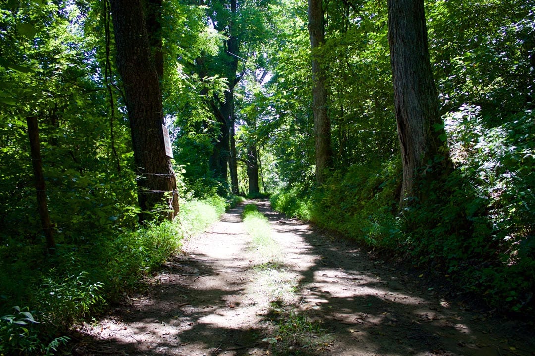 Heritage Hollow Tract 8 photo 2
