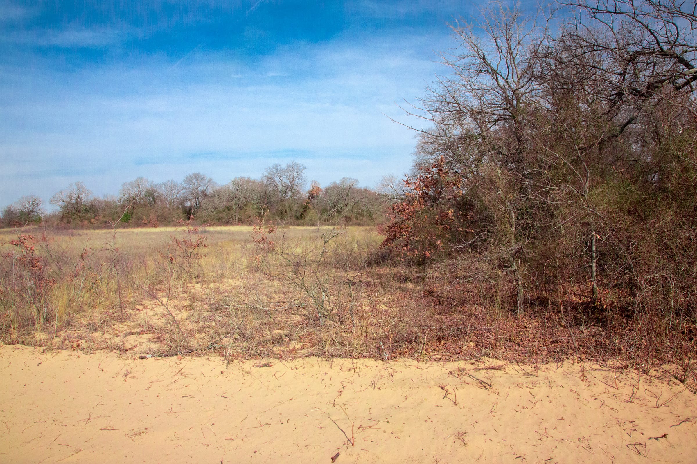Legacy Ranch Tract 5 photo 3