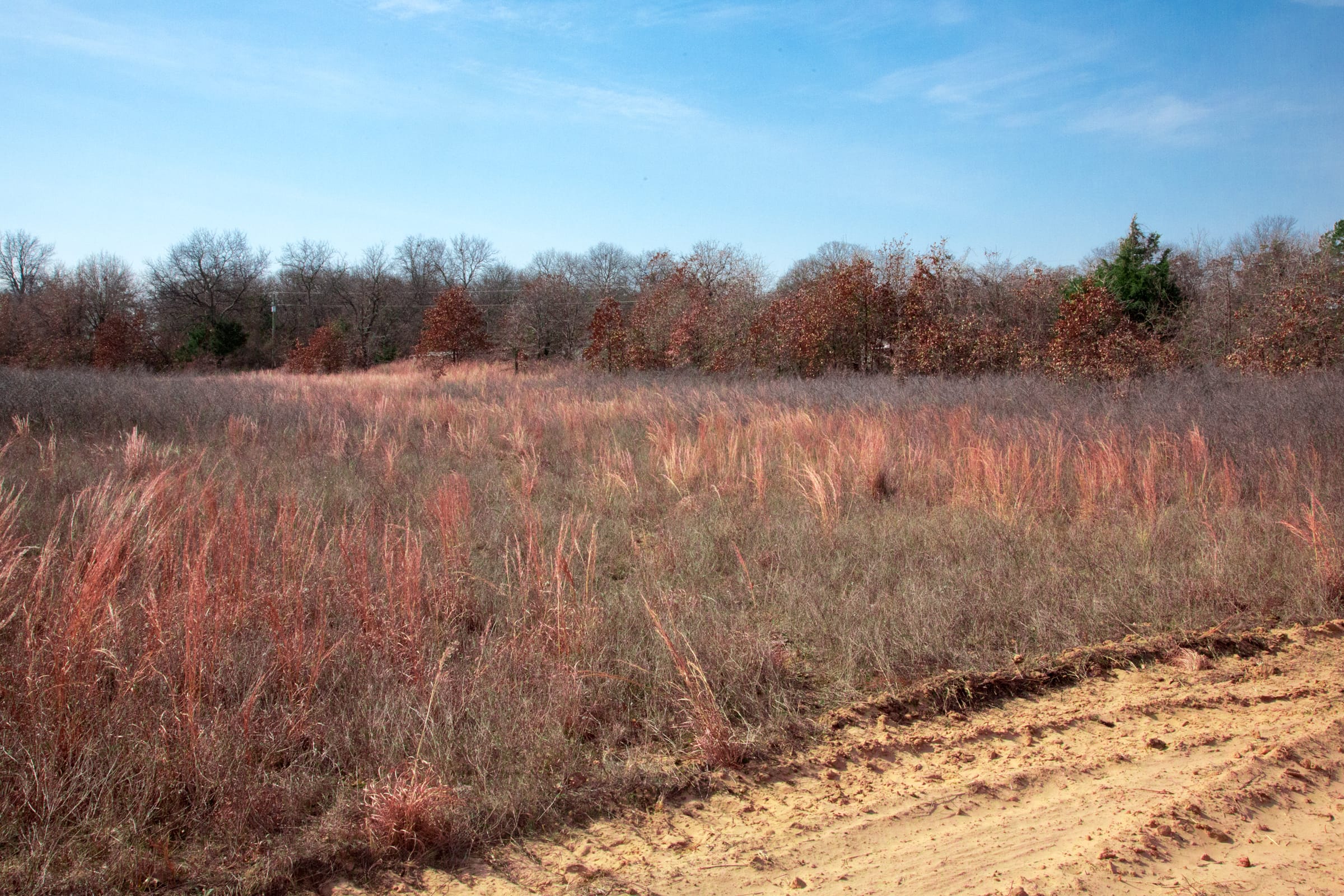 Legacy Ranch Tract 5 photo 12