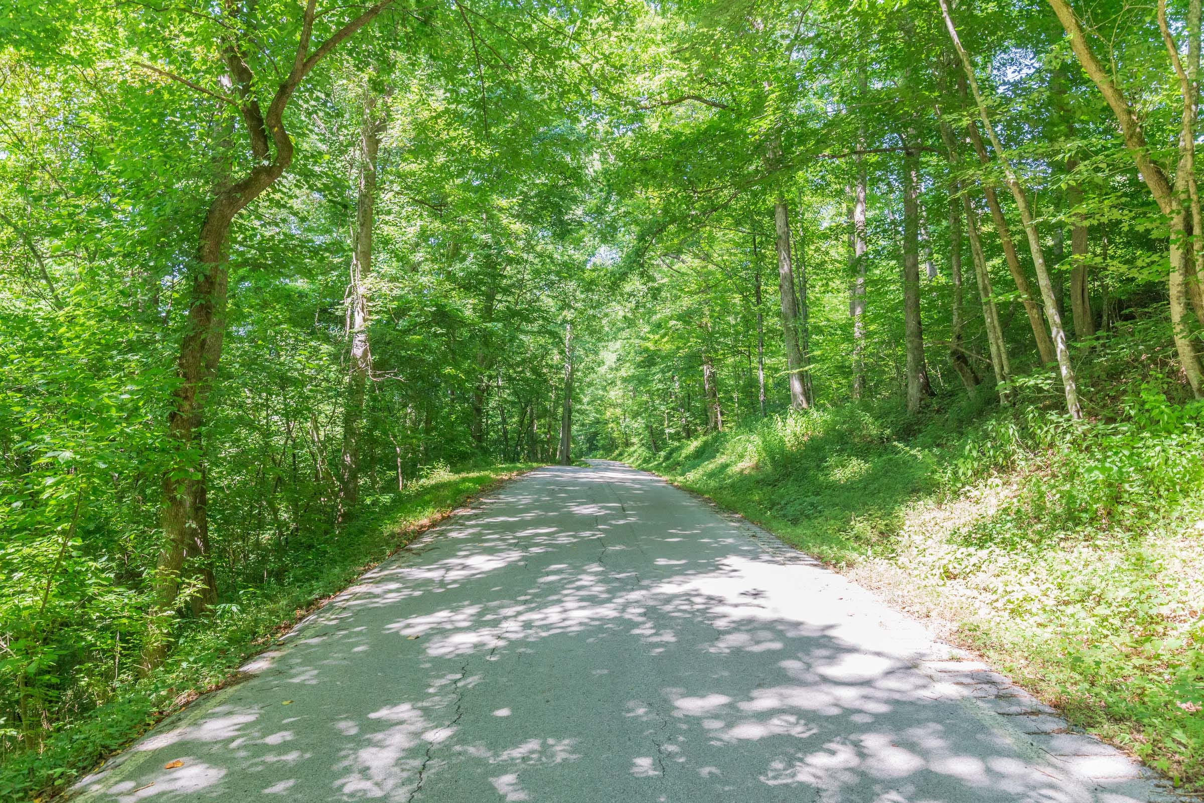 River’s Edge Tract 1 photo 7
