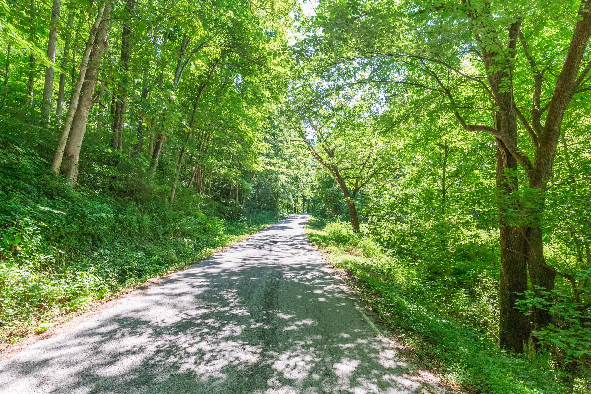 River’s Edge Tract 1 photo 1