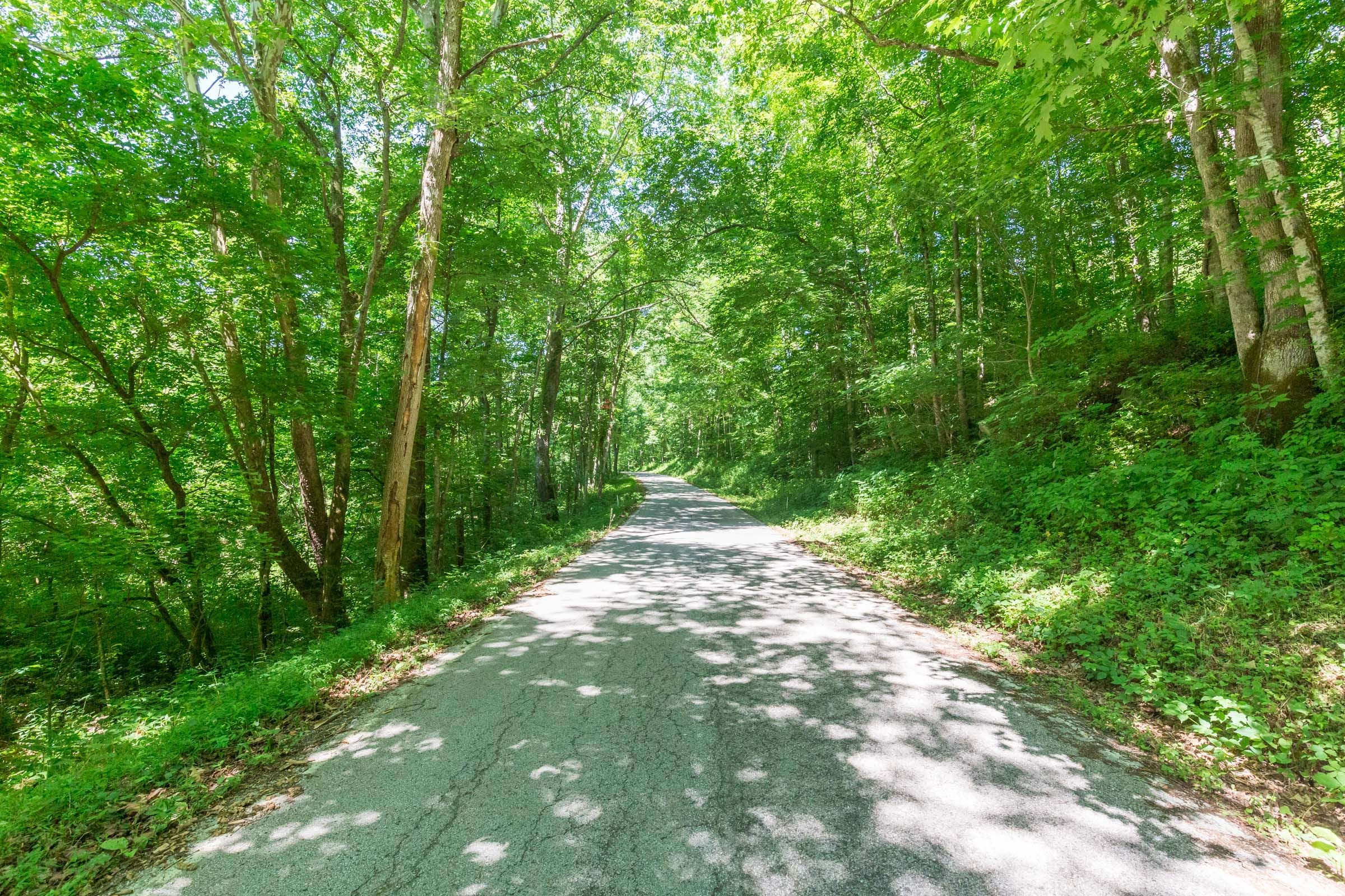 River’s Edge Tract 1 photo 9