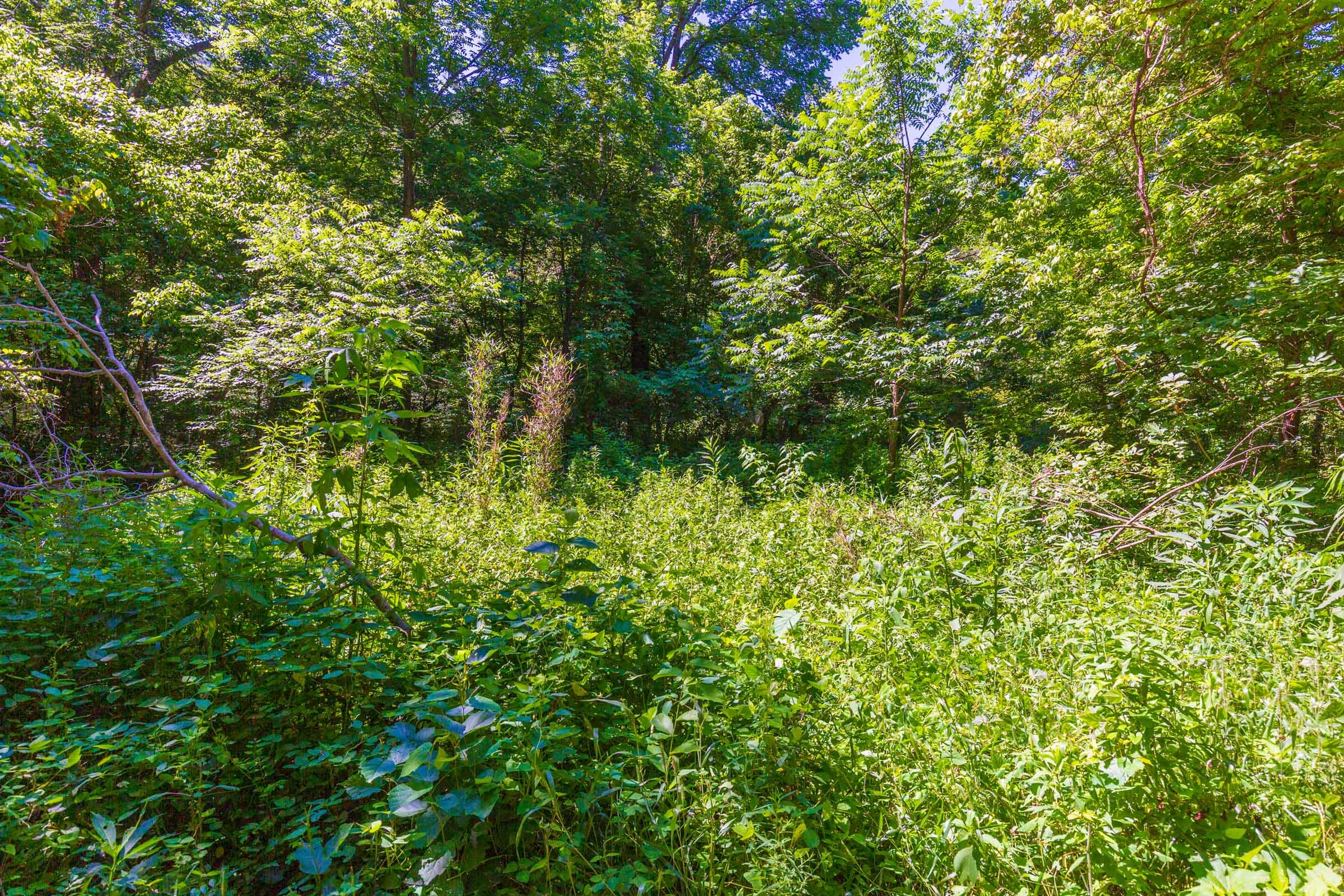 River’s Edge Tract 1 photo 3