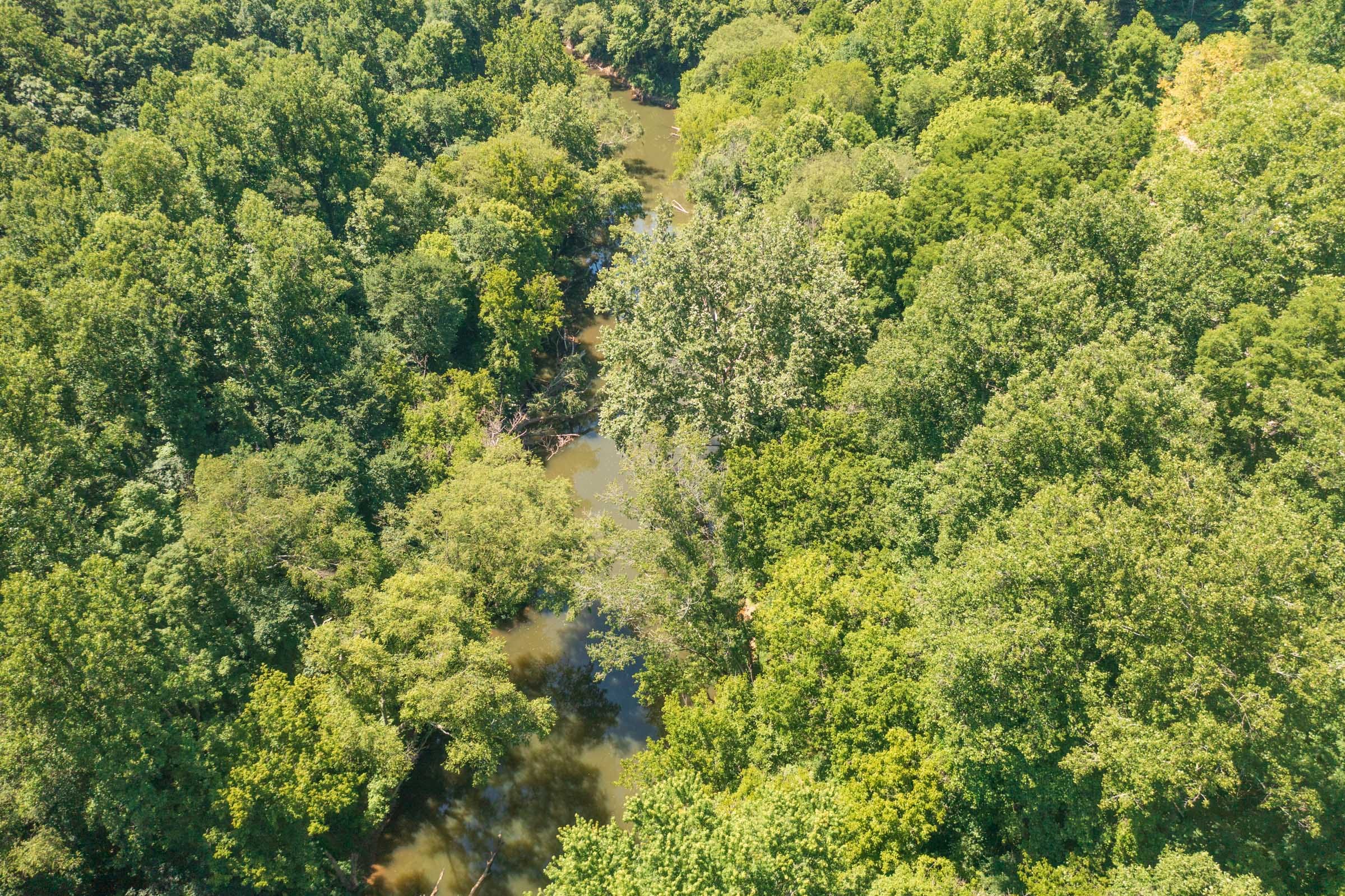 River’s Edge Tract 1 photo 13