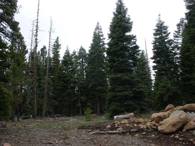 California Pines Tract 19 photo 7