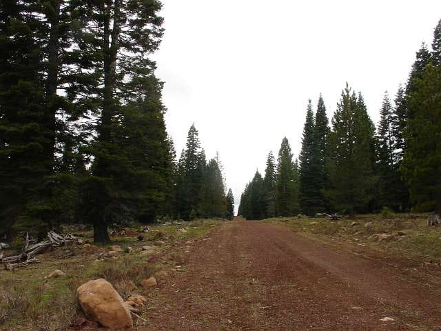 California Pines Tract 19 photo 9