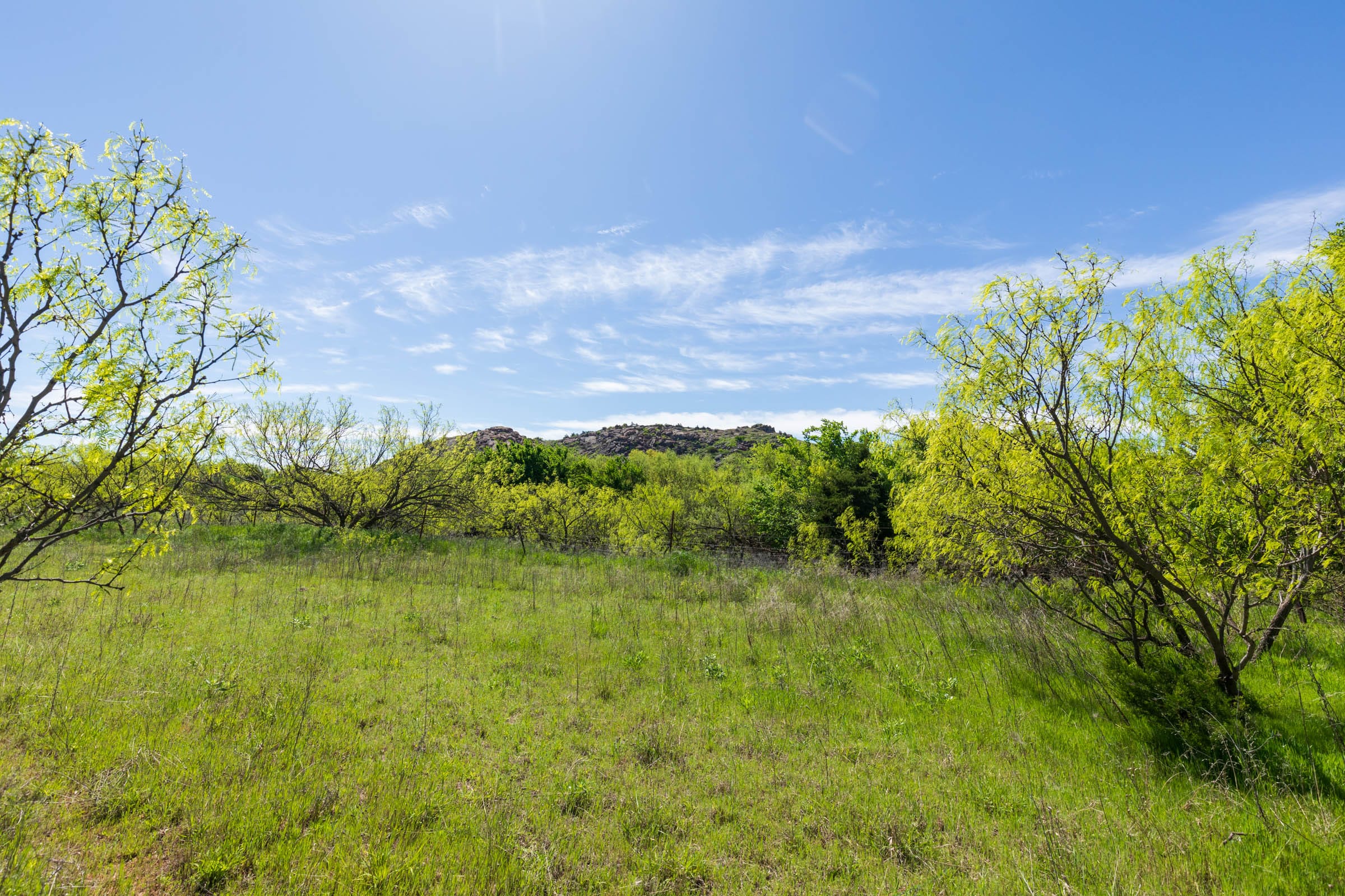 Hackberry Fields Tract 28 photo 3