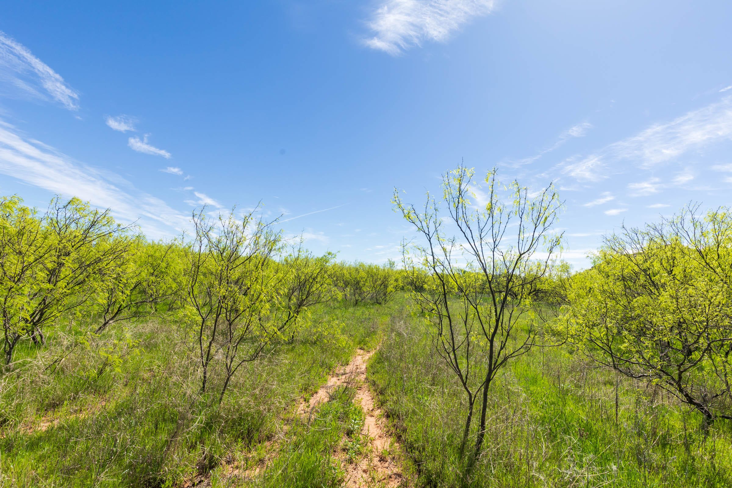 Hackberry Fields Tract 28 photo 14