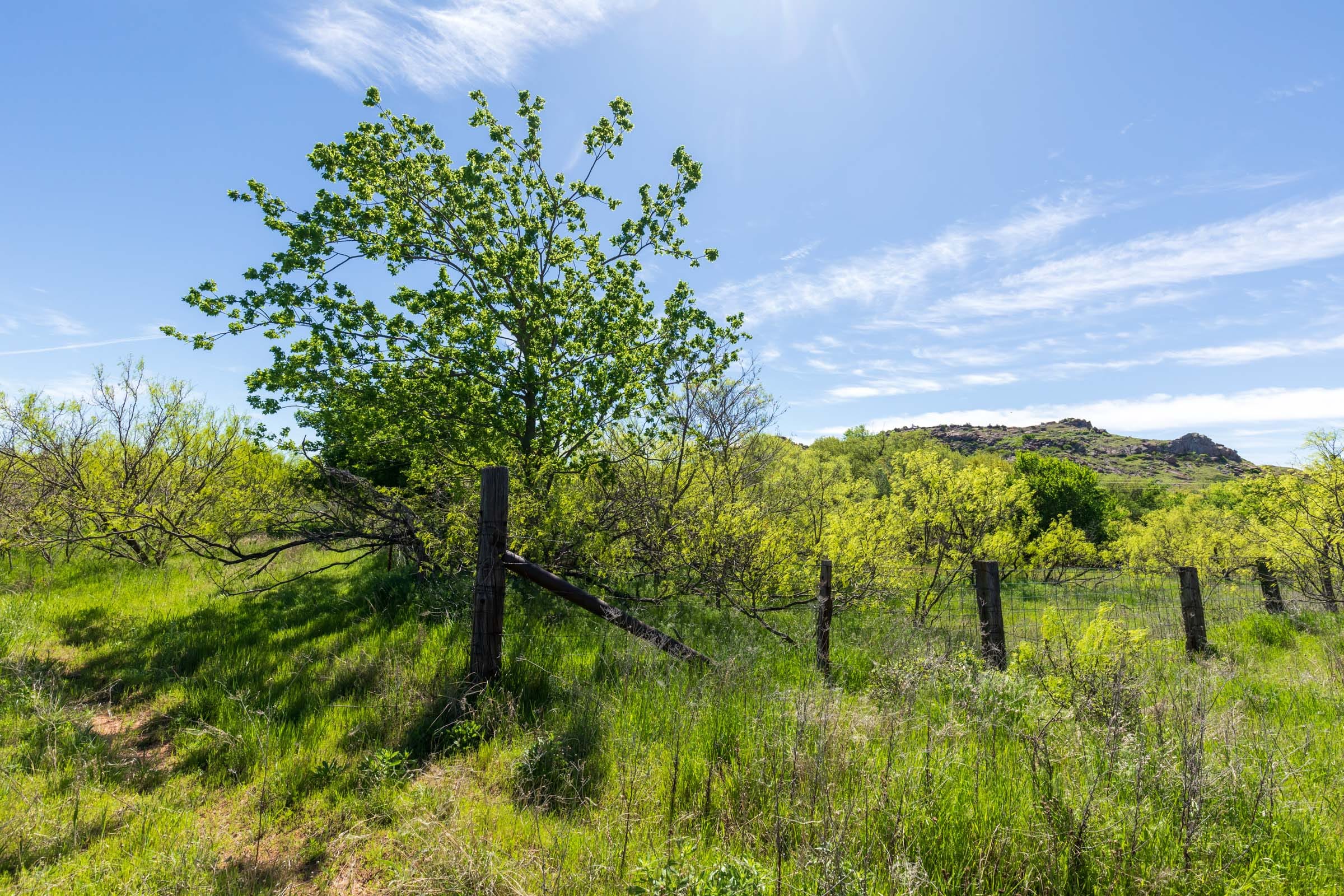 Hackberry Fields Tract 28 photo 16