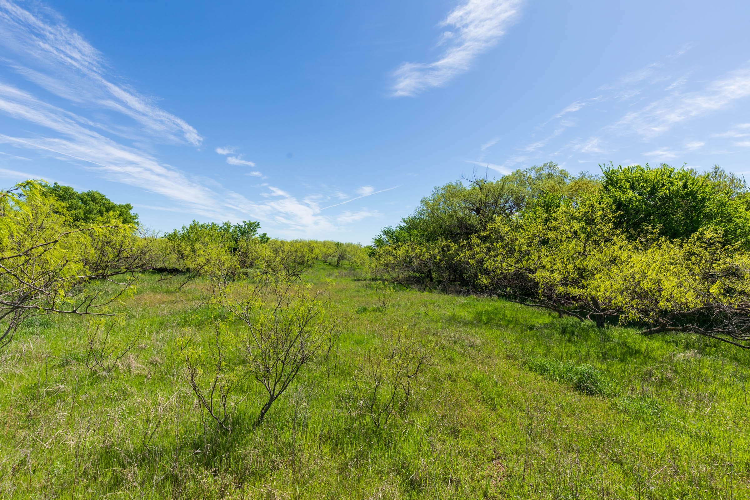 Hackberry Fields Tract 28 photo 22