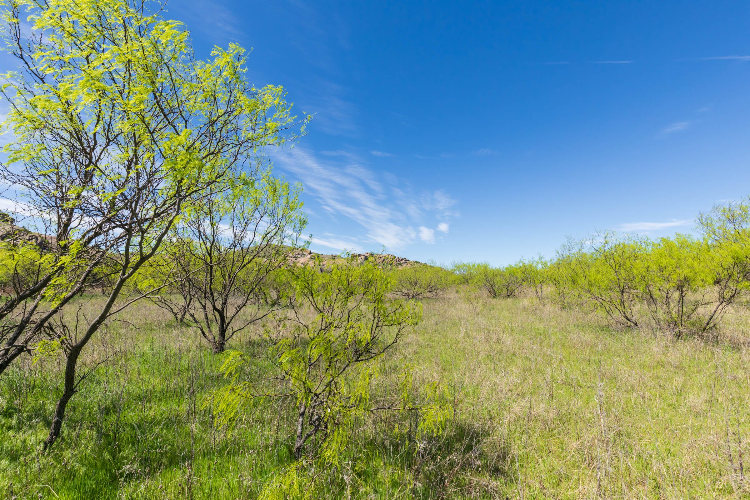Hackberry Fields Tract 28 photo 24