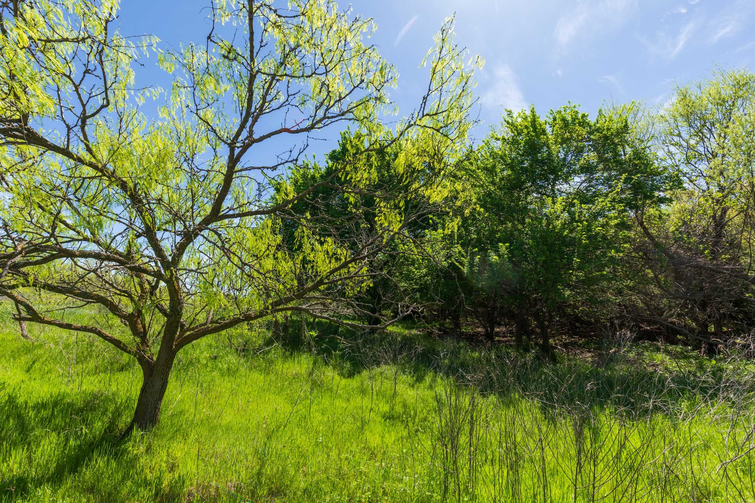 Hackberry Fields Tract 28 photo 27