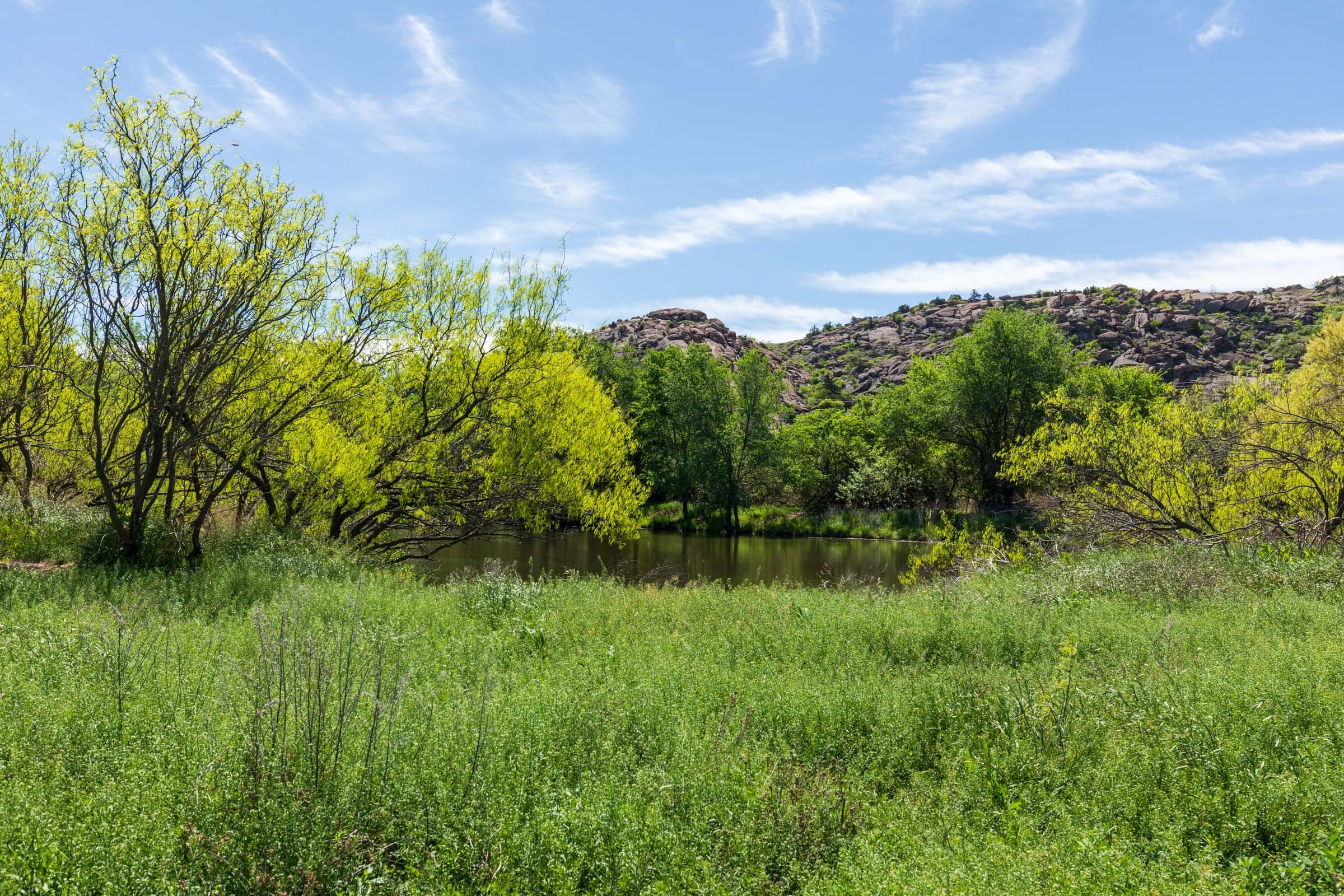 Hackberry Fields Tract 28 photo 5