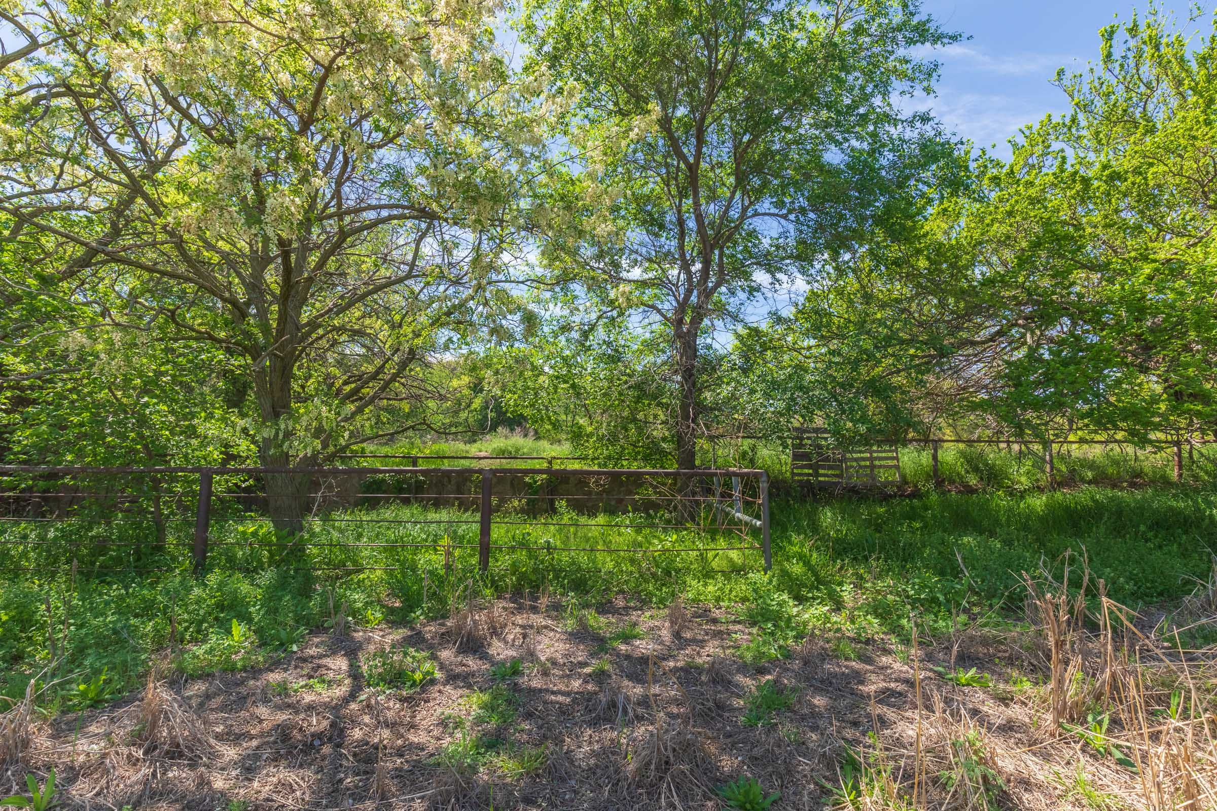 Hackberry Fields Tract 28 photo 12