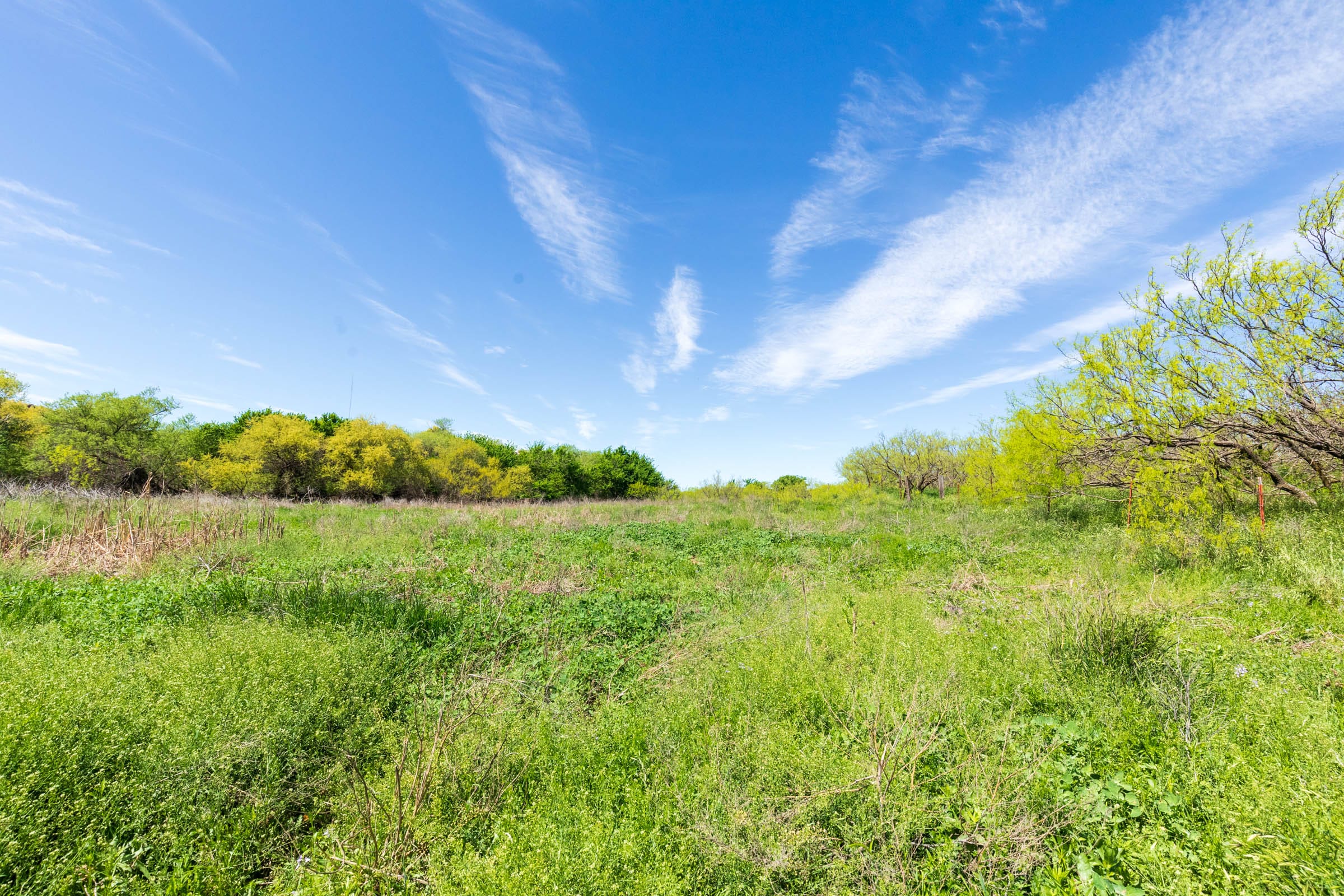 Hackberry Fields Tract 28 photo 18