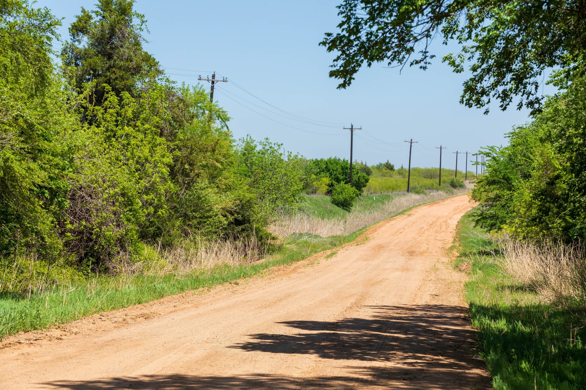 Hackberry Fields Tract 28 photo 15