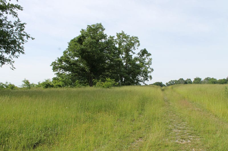 Cedar Ridge Ranch Tract 5 photo 1