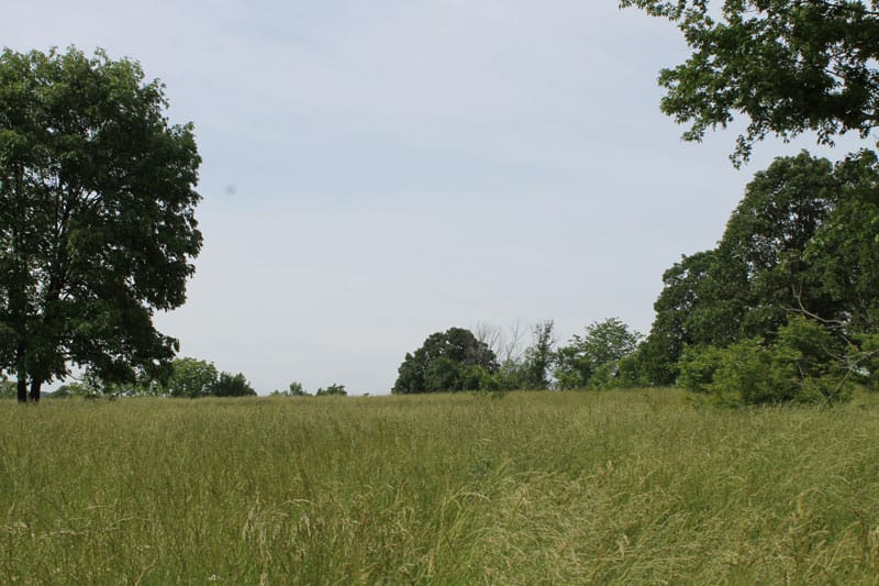 Cedar Ridge Ranch Tract 5 photo 5