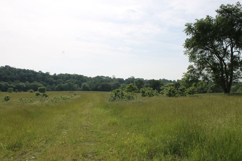 Cedar Ridge Ranch Tract 5 photo 6