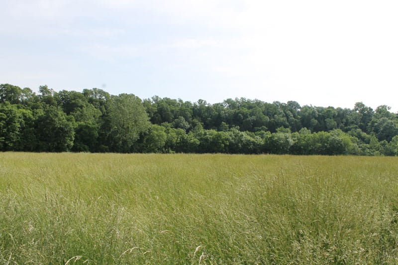 Cedar Ridge Ranch Tract 5 photo 7