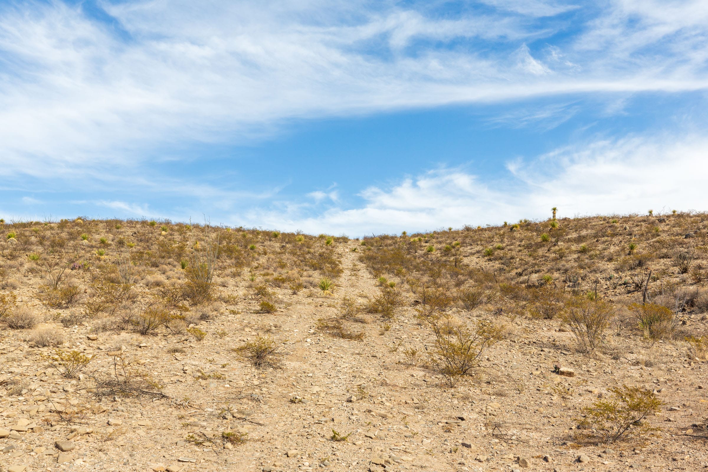 Sunrise Ranches Phase III Tract 117 photo 11