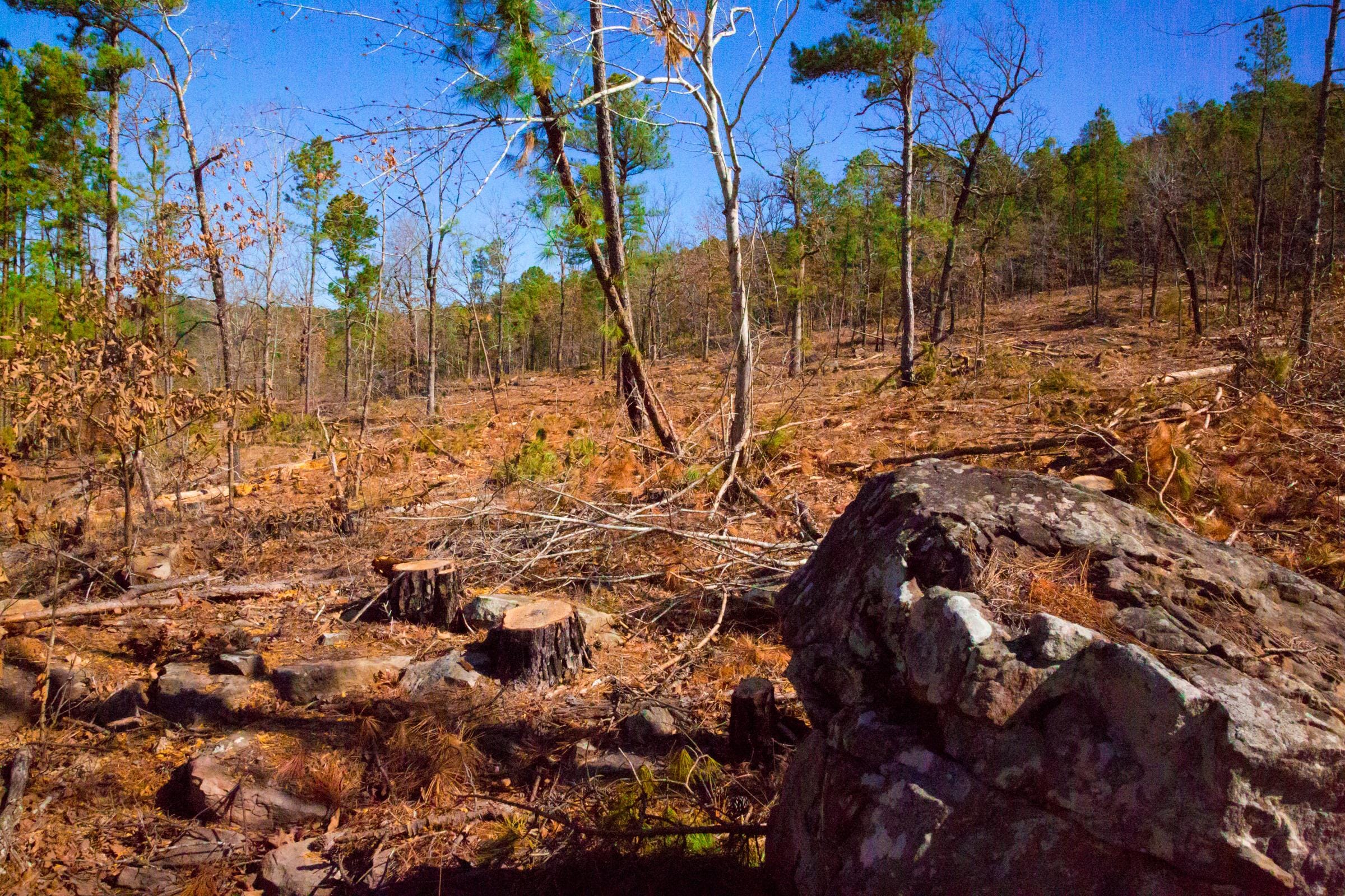 Stone Creek Phase II Tract 201 photo 3
