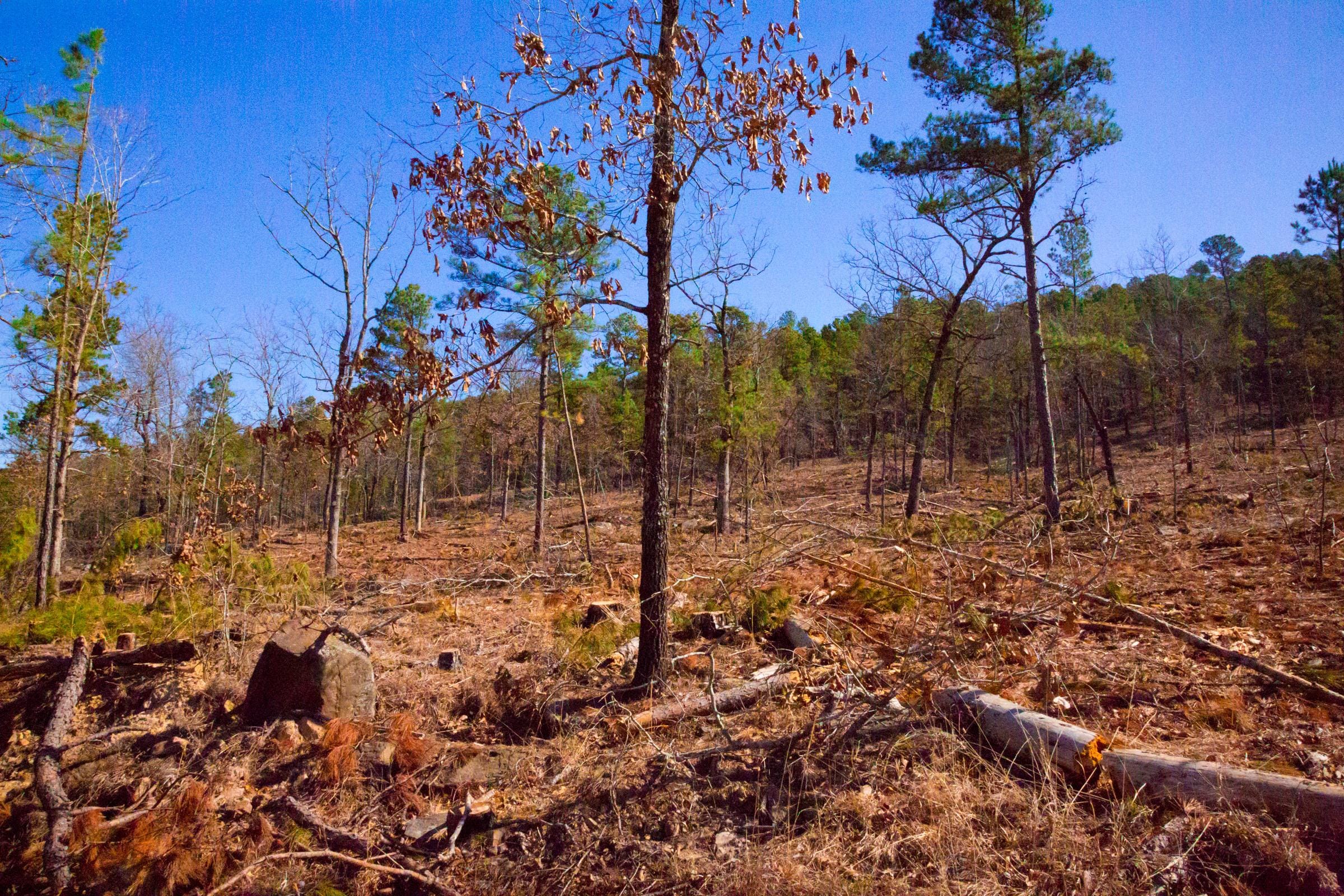 Stone Creek Phase II Tract 201 photo 4