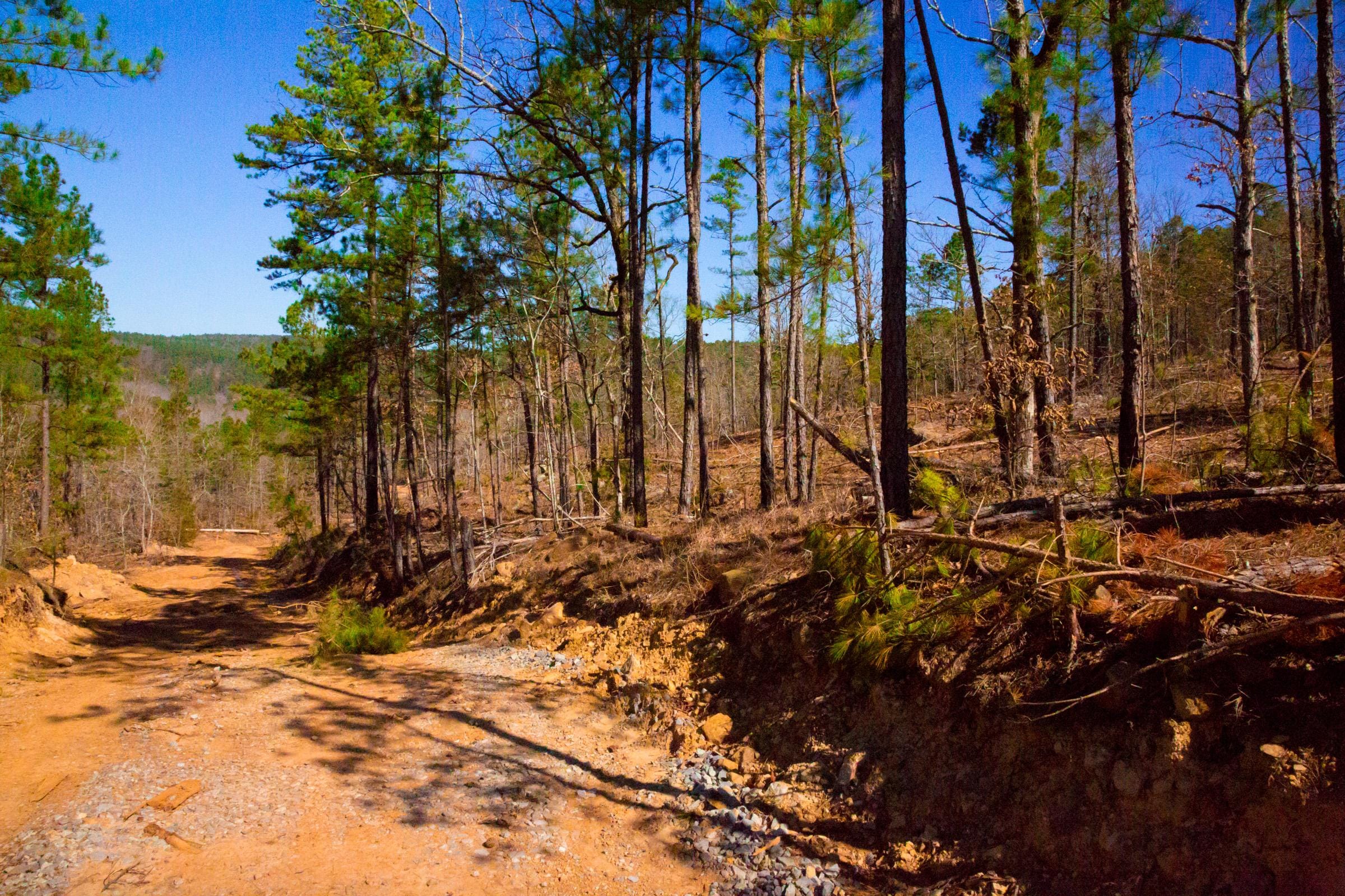 Stone Creek Phase II Tract 201 photo 5